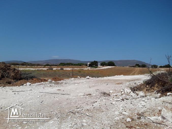 للناس إلي تحب تستثمر !! أرض في الهوارية 250 م ² ب 37 مليون