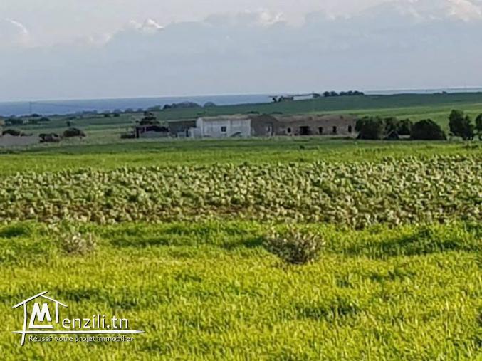 أرض في قلب الطبيعة 10 دقايق على قليبية !!