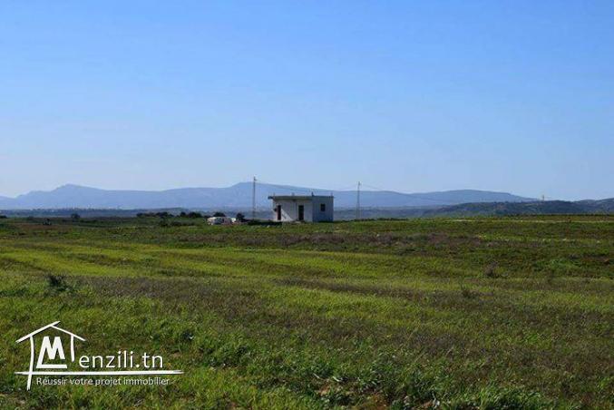 أرض في قلب الطبيعة 10 دقايق على قليبية !!