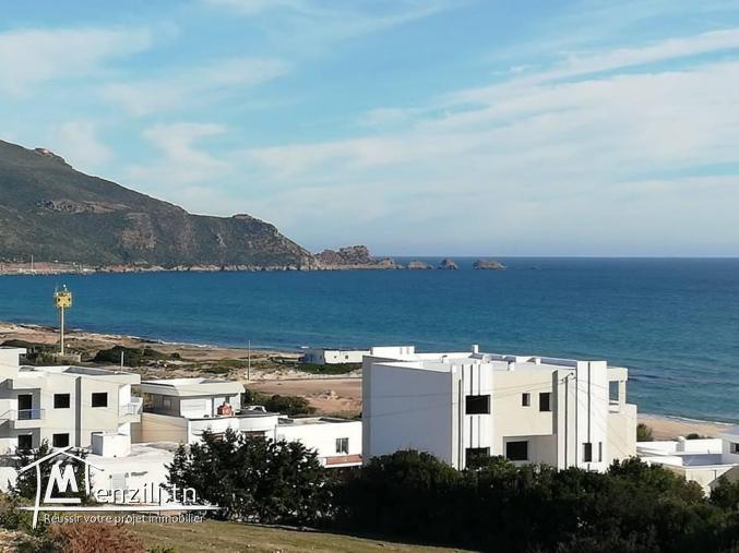 terrain a vendre à haouaria 250m² 37000 MD