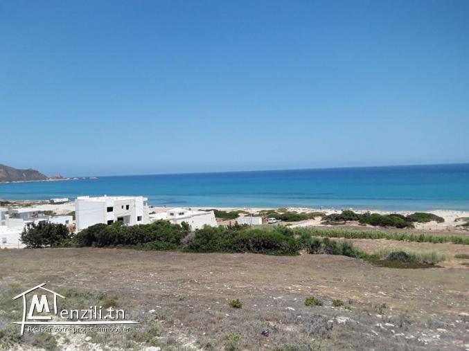 أرض للبيع بسوم معقول في الهوارية