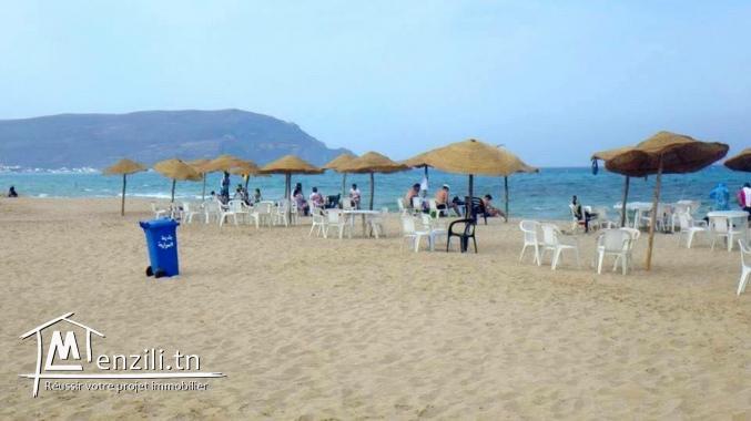 terrain a vendre à haouaria info ligne 29232861