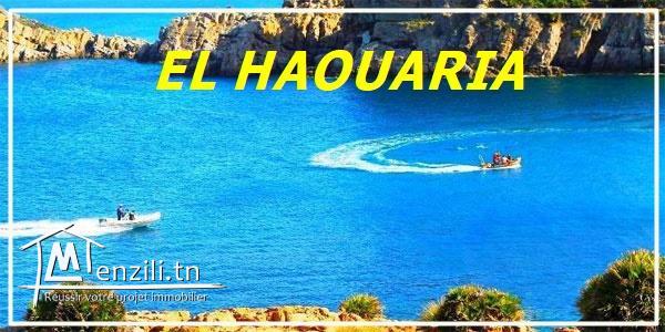 terrain à vendre prés de la plage l'haouria