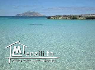 offre spéciale de vente un terrain à haouaria