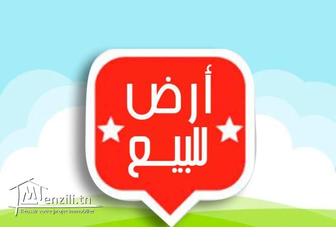 Superbe terrain à vendre  à kélibia