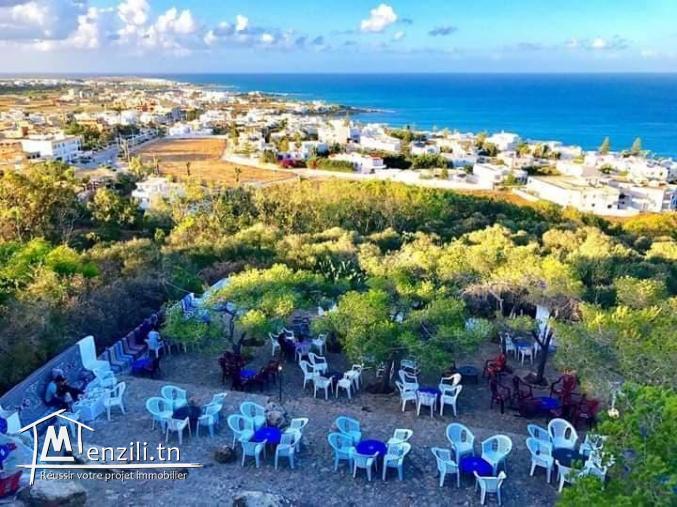 Superbe terrain à vendre  à kélibia