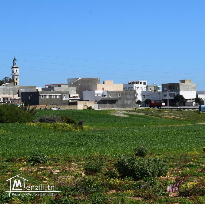Superbe terrain à vendre  à kélibia