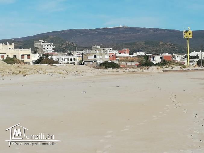 Terrain à haouaria plage