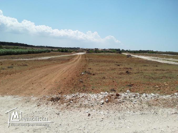 Terrain à haouaria plage