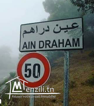 Maison a ain drahim
