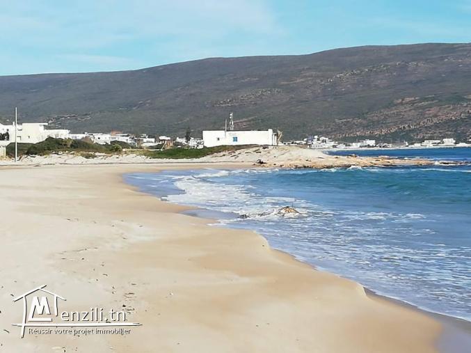 اشري أرض بحذ البحر وصيف وانتي مرتاح 21364330