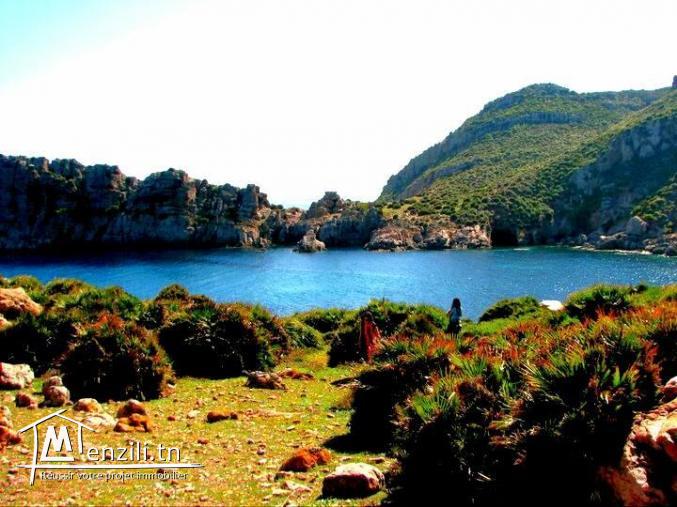 أرض للبيع في الهوارية بسوم معقول للإتصال 21364330