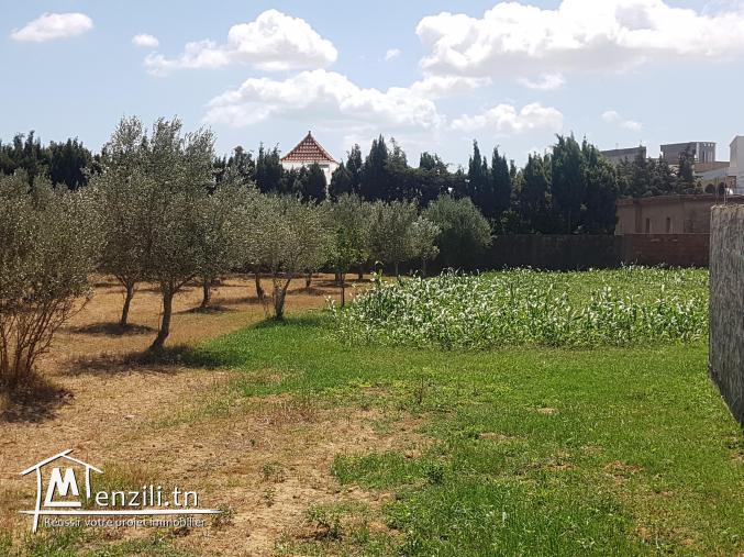 Terrain constructible à Aousja