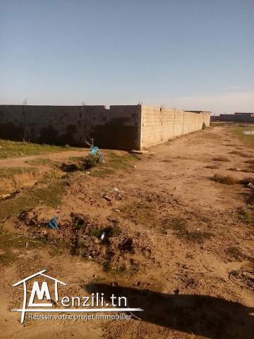 Terrain raoued de 400metre carré