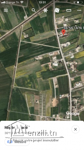 Terrain a Cebelet Ben Ammar borj youssef