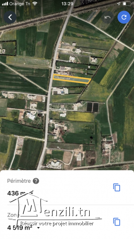 Terrain a Cebelet Ben Ammar borj youssef