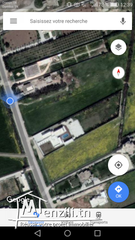 Terrain a Cebelet Ben Ammar borj youssef