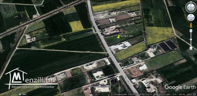 Terrain a Cebelet Ben Ammar borj youssef