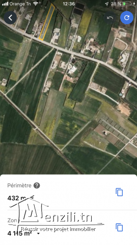 Terrain a Cebelet Ben Ammar borj youssef