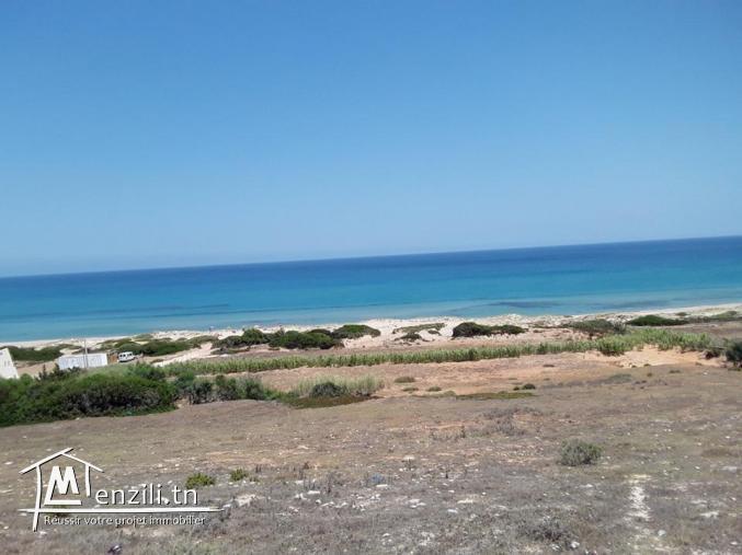 أراضي للبيع قريبة للبحر للإتصال 21364330