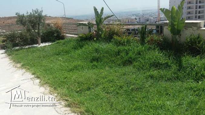 A vendre des (S+3) de très haut  Standing sur les hauteurs d'Ennasr 2