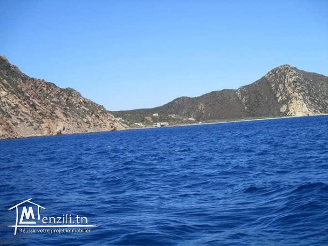 اشري أرض قريبة للبحر وتمتع انتي وصغارك 21364330