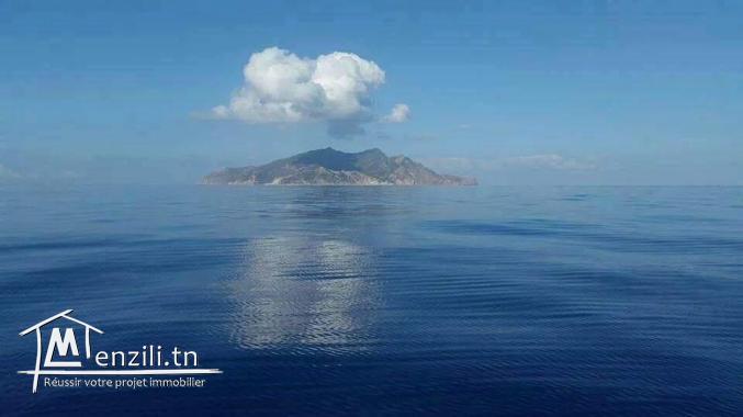 فرصة متتفلتش أرض للبيع في الهوارية للإتصال : 21364330