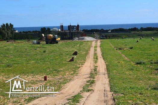 اشري أرض قريبة للبحر في قليبية للإتصال : 21364330