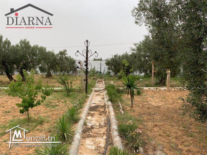 un terrain agricole de 3566 m²