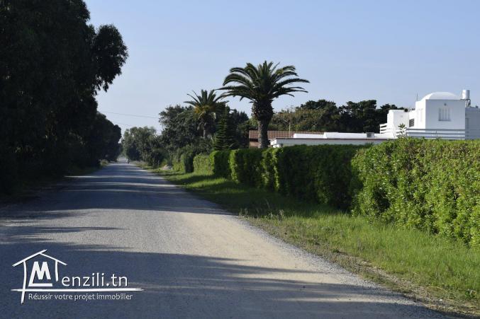 terrain à vendre 200m² et vue sur mer tél 26122779