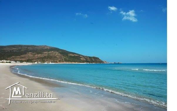 أرض للبيع في جنة الوطن القبلي للإتصال : 21364330