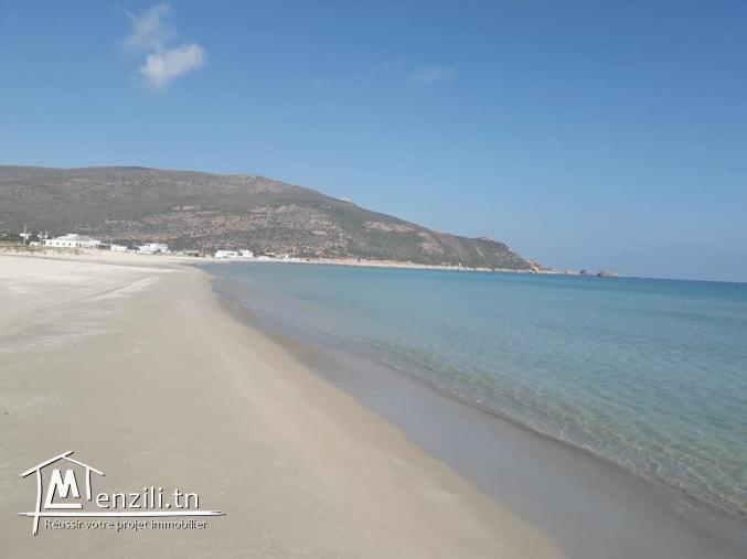 أرض للبيع في جنة الوطن القبلي للإتصال : 21364330