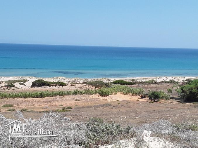 أرض للبيع في جنة الوطن القبلي للإتصال : 21364330