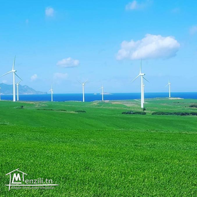 أراضي للبيع مطلة على البحر للإتصال 21364330