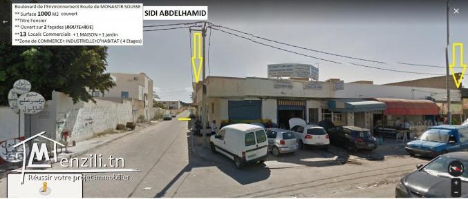 13 locals commercials a vendre