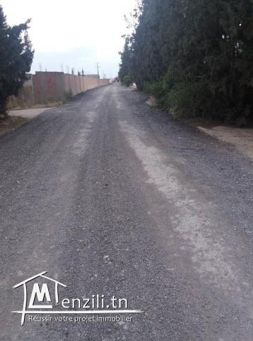 أرض في مرناق