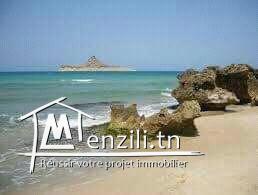 terrain 235 mm à lehmari rafraf plage