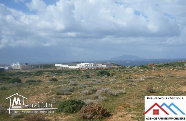 Villa dans 250m2 haut standing style américain