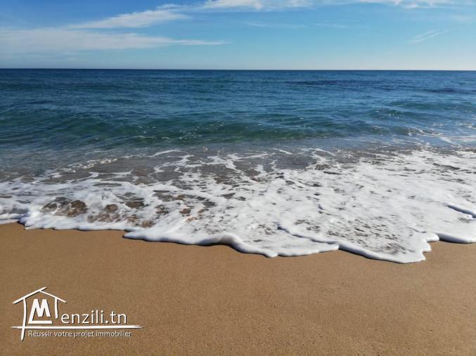 terrain a vendre à elhaouaria vue sur mer
