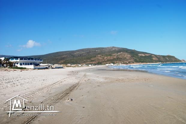 terrain a vendre à elhaouaria vue sur mer