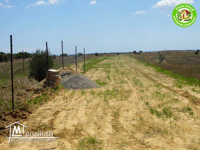 للبيع أرض في قليبية منزل ابراهيم