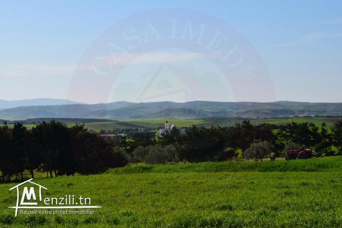 للبيع أرض في قليبية منزل ابراهيم