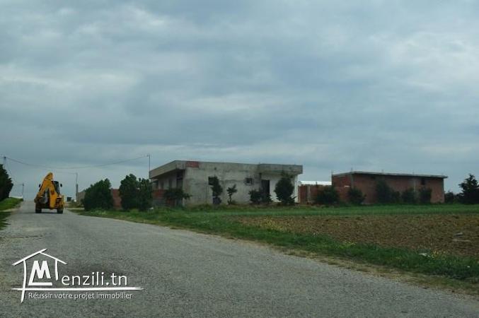 Terrain a vendre à kélibia " manzel brahim"