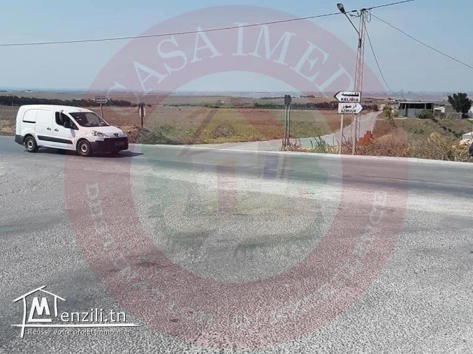Terrain a vendre à kélibia " manzel brahim"