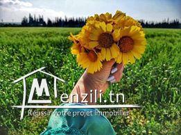 terrain de 500m² à 25 mille à vendre tél 26122779