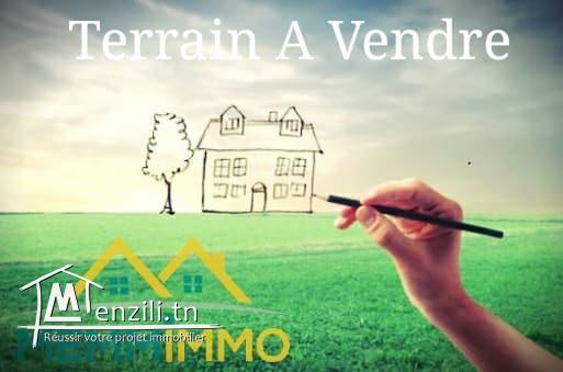 A VENDRE: Terrain de 549 m²- Jbel dar Waja- 550dt/m²