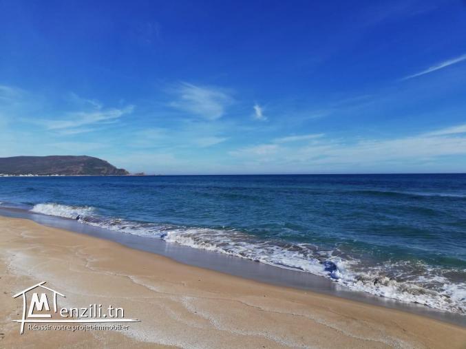 Terrain a vendre à Elhaouaria