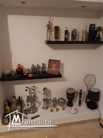 Appt Richement meublé s+3