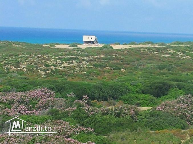 terrrain dar el janna