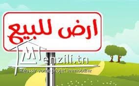 ارض للبيع